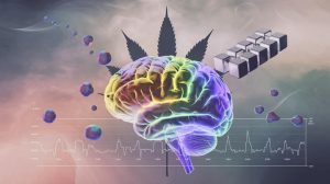 cannabinoids influence sleep architecture